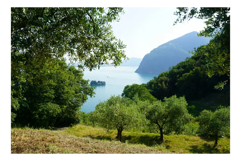 Tablou Canvas, "Vedere spre lac și dealuri verzi", Verde, Liniște, Lac, Munte, Peisaj, Natură, Armonie, Frumusețe, 54 x 39 cm