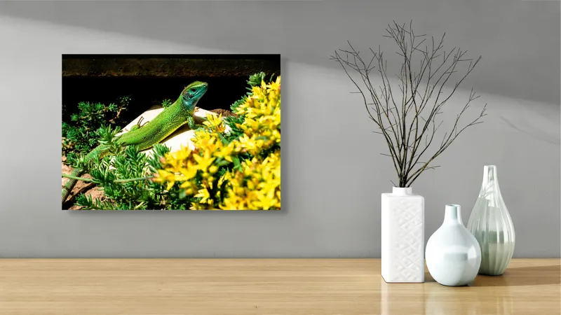 Tablou Canvas, "Șopârla verde printre flori galbene", Șopârlă, Verde, Galben, Flori, Natură, Soare, Tufișuri, Habitat, Culoare, Vivacitate, 54 x 39 cm – poza 3