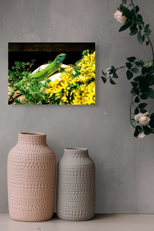 Tablou Canvas, "Șopârla verde printre flori galbene", Șopârlă, Verde, Galben, Flori, Natură, Soare, Tufișuri, Habitat, Culoare, Vivacitate, 54 x 39 cm – poza 8