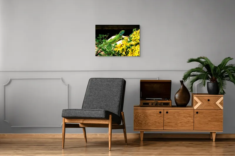 Tablou Canvas, "Șopârla verde printre flori galbene", Șopârlă, Verde, Galben, Flori, Natură, Soare, Tufișuri, Habitat, Culoare, Vivacitate, 70 x 50 cm – poza 4