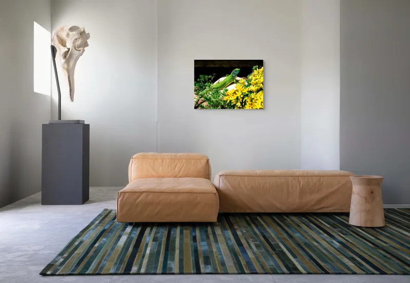 Tablou Canvas, "Șopârla verde printre flori galbene", Șopârlă, Verde, Galben, Flori, Natură, Soare, Tufișuri, Habitat, Culoare, Vivacitate, 70 x 50 cm – poza 8