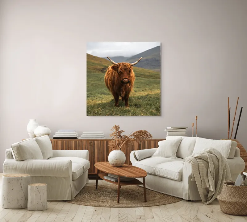 Tablou Canvas, "Bivol sportiv pe câmp însorit", 100 x 100 cm – poza 3