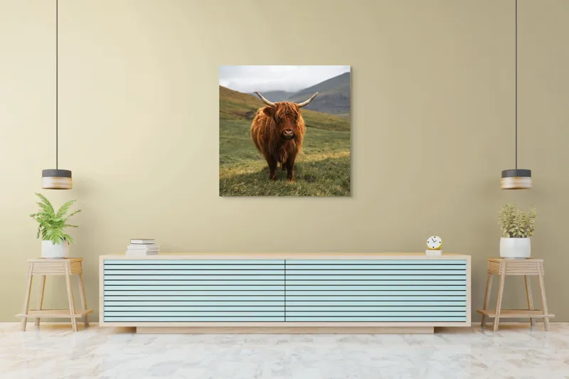 Tablou Canvas, "Bivol sportiv pe câmp însorit", 100 x 100 cm – poza 5