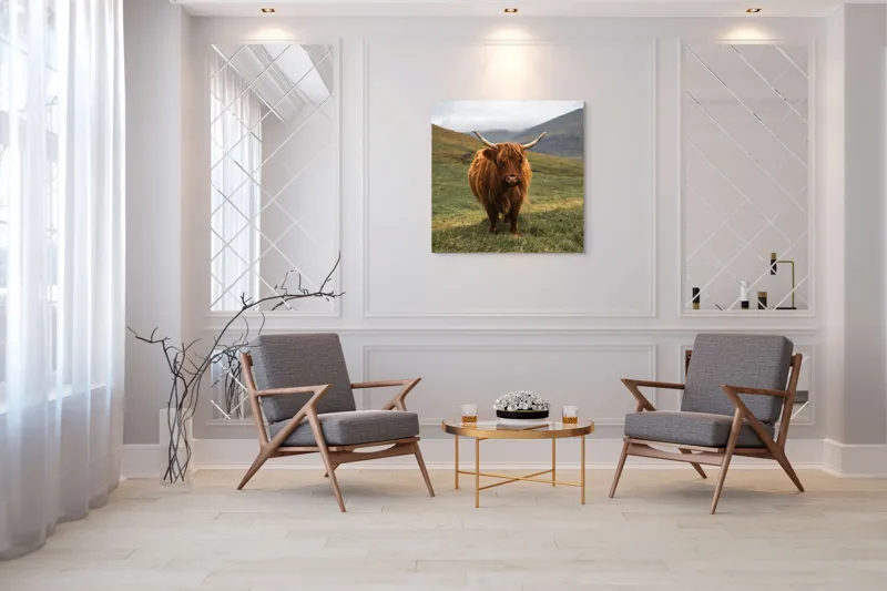 Tablou Canvas, "Bivol sportiv pe câmp însorit", 100 x 100 cm – poza 7