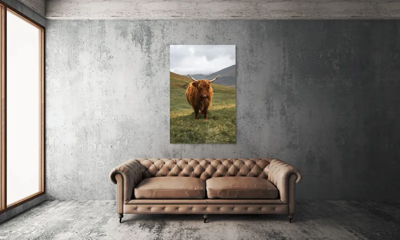 Tablou Canvas, "Bivol sportiv pe câmp însorit", 100 x 150 cm – poza 6