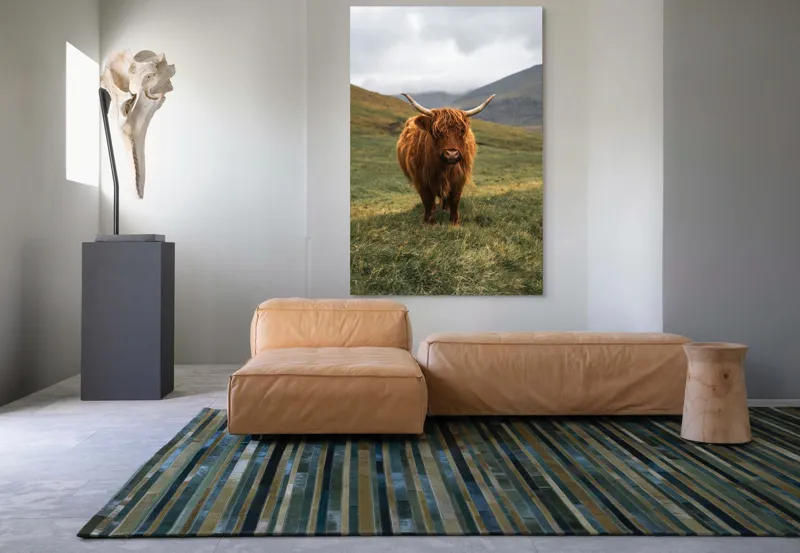 Tablou Canvas, "Bivol sportiv pe câmp însorit", 100 x 150 cm – poza 7