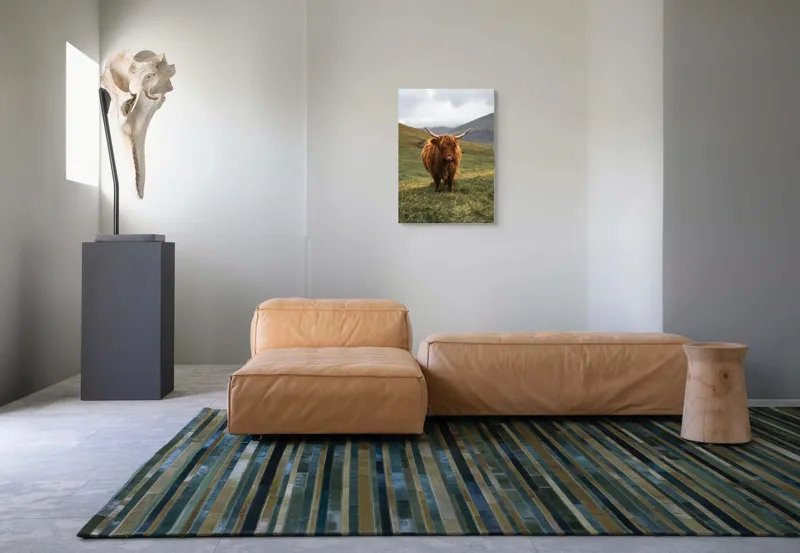Tablou Canvas, "Bivol sportiv pe câmp însorit", 50 x 70 cm – poza 7