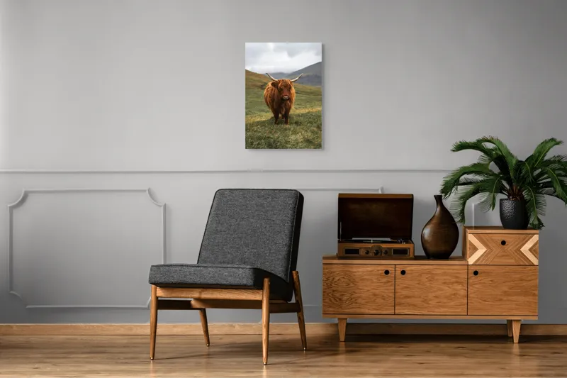 Tablou Canvas, "Bivol sportiv pe câmp însorit", 50 x 70 cm – poza 8
