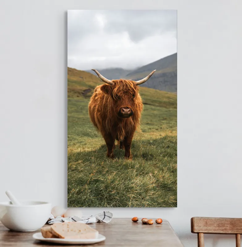 Tablou Canvas, "Bivol sportiv pe câmp însorit", 50 x 90 cm – poza 3