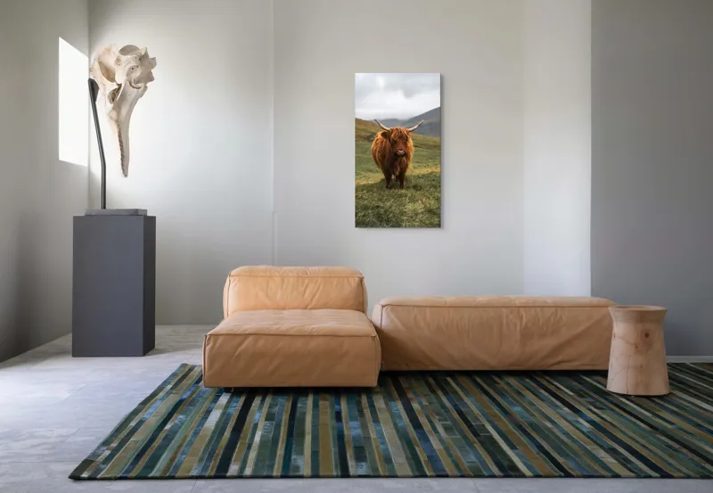 Tablou Canvas, "Bivol sportiv pe câmp însorit", 50 x 90 cm – poza 5