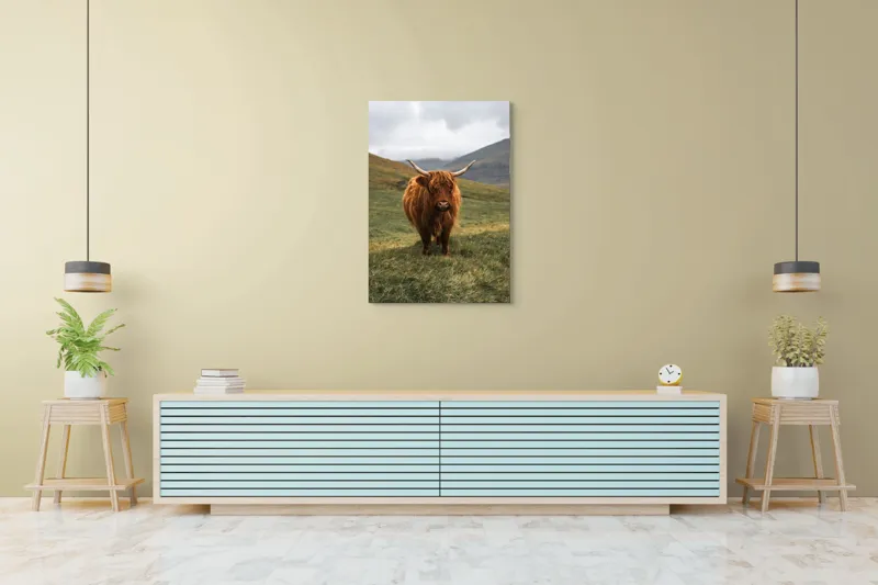Tablou Canvas, "Bivol sportiv pe câmp însorit", 70 x 100 cm – poza 5