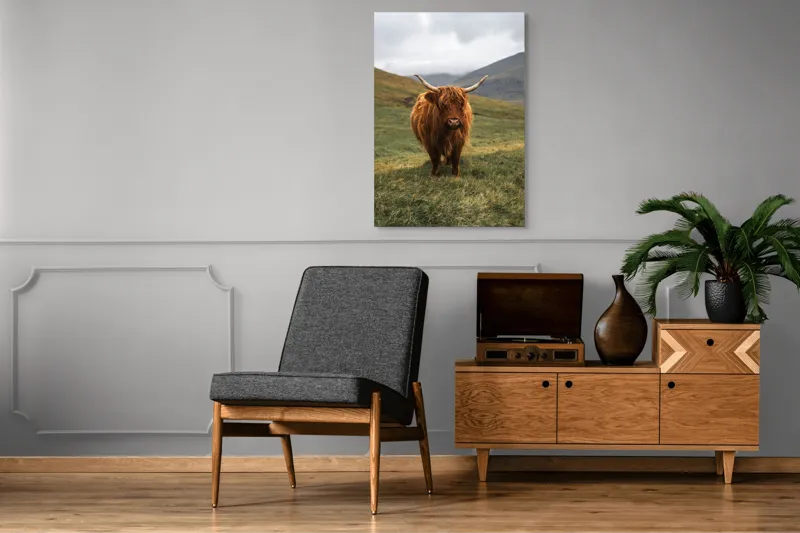 Tablou Canvas, "Bivol sportiv pe câmp însorit", 70 x 100 cm – poza 6