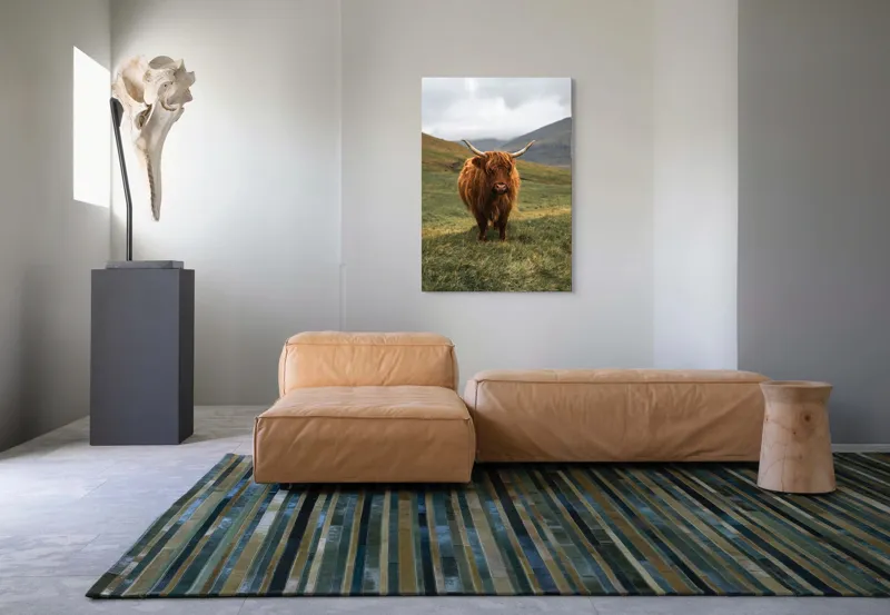 Tablou Canvas, "Bivol sportiv pe câmp însorit", 70 x 100 cm – poza 7