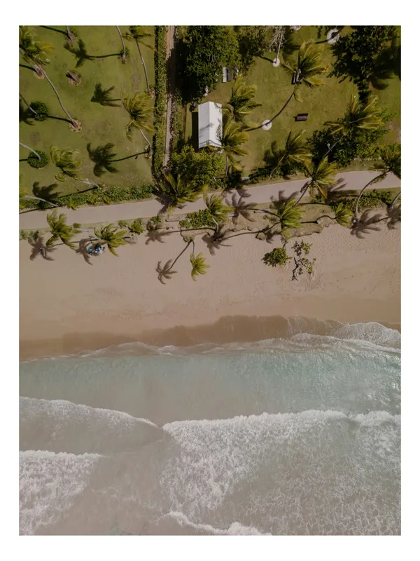 Tablou Canvas, "Oceanul și liniștea tropicală", Valuri, Nisip, Palmieri, Drum, Cabană, Vegetație, Apă, Plajă, Umbre, Cer., 39 x 54 cm