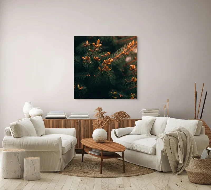 Tablou Canvas, "Brăduțul primăverii înmugurind discret", Verde, Ace, Muguri, Natural, Proaspăt, Textură, Frunziș., 100 x 100 cm – poza 3