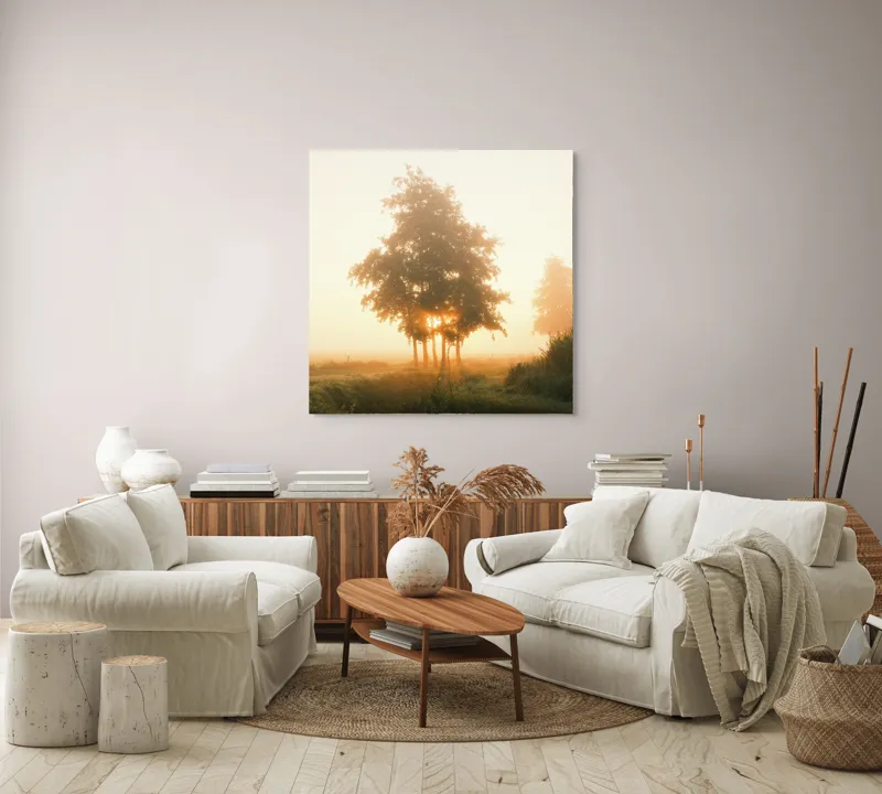 Tablou Canvas, "Răsărit liniștit printre copaci", Aburi, Răsărit, Câmpie, Copaci, Ceață, Lumină, Siluetă, Tranquilitate, Natură, Vechi Drum, 100 x 100 cm – poza 3