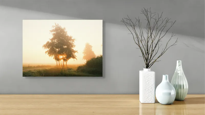 Tablou Canvas, "Răsărit liniștit printre copaci", Aburi, Răsărit, Câmpie, Copaci, Ceață, Lumină, Siluetă, Tranquilitate, Natură, Vechi Drum, 54 x 39 cm – poza 3