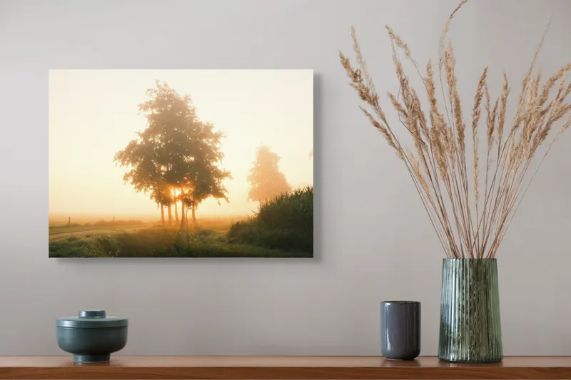 Tablou Canvas, "Răsărit liniștit printre copaci", Aburi, Răsărit, Câmpie, Copaci, Ceață, Lumină, Siluetă, Tranquilitate, Natură, Vechi Drum, 54 x 39 cm – poza 4