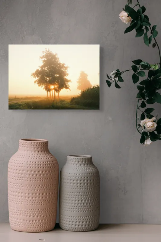 Tablou Canvas, "Răsărit liniștit printre copaci", Aburi, Răsărit, Câmpie, Copaci, Ceață, Lumină, Siluetă, Tranquilitate, Natură, Vechi Drum, 54 x 39 cm – poza 8