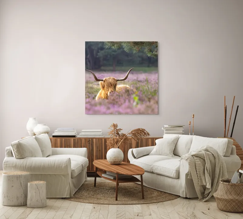 Tablou Canvas, "Vacă din Highlands printre flori mov", 100 x 100 cm – poza 3