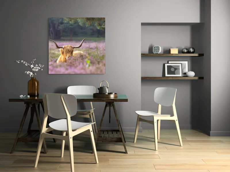 Tablou Canvas, "Vacă din Highlands printre flori mov", 100 x 100 cm – poza 6