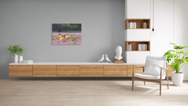 Tablou Canvas, "Vacă din Highlands printre flori mov", 100 x 70 cm – poza 6