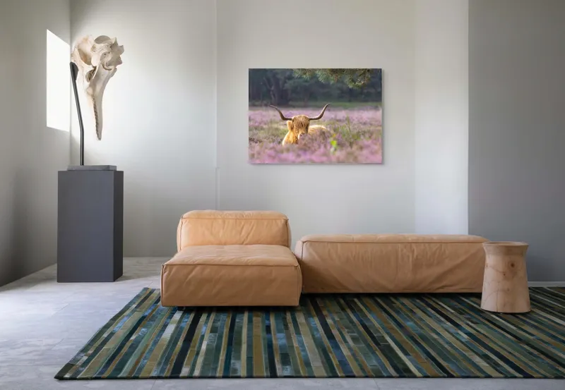 Tablou Canvas, "Vacă din Highlands printre flori mov", 100 x 70 cm – poza 7