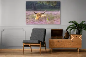 Tablou Canvas, "Vacă din Highlands printre flori mov", 150 x 100 cm – poza 8