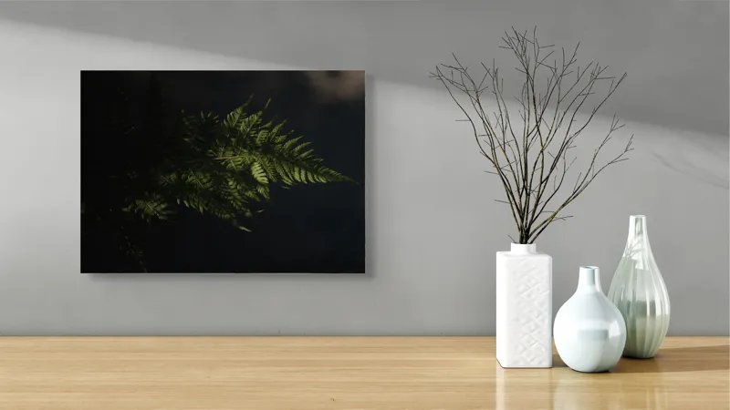 Tablou Canvas, "Frunză de ferigă în umbră", Frunză, Ferigă, Lumină, Umbre, Verde, Textură, Natural, Delicat., 54 x 39 cm – poza 3