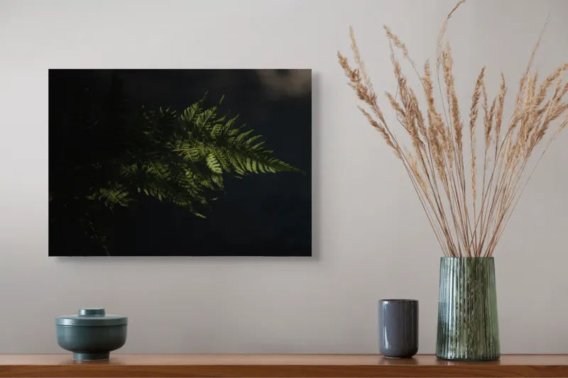 Tablou Canvas, "Frunză de ferigă în umbră", Frunză, Ferigă, Lumină, Umbre, Verde, Textură, Natural, Delicat., 54 x 39 cm – poza 4