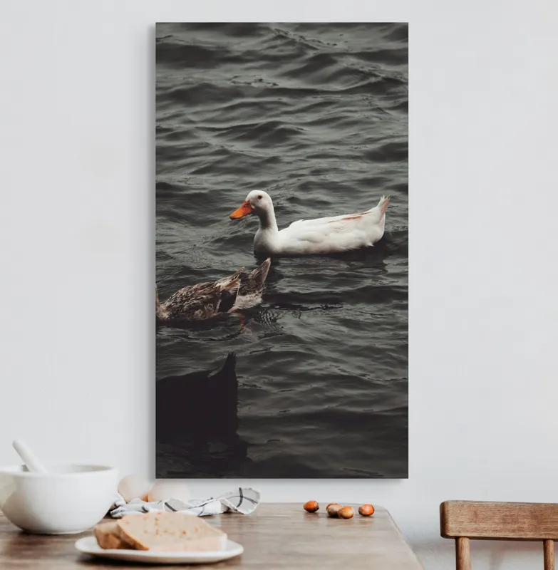 Tablou Canvas, "Rațe plutind pe lac liniștit", Apa, Rațe, Înot, Pene, Liniște, Natură, Valuri, Reflecție, 50 x 90 cm – poza 3