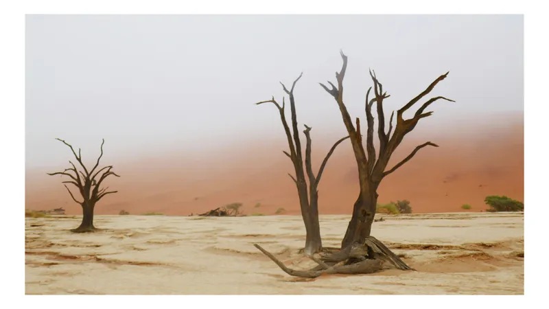 Tablou Canvas, "Pustietatea tăcută a deșertului arid", Ariditate, Deșert, Copaci, Solitudine, Ceață, Peisaj, Natură, 90 x 50 cm