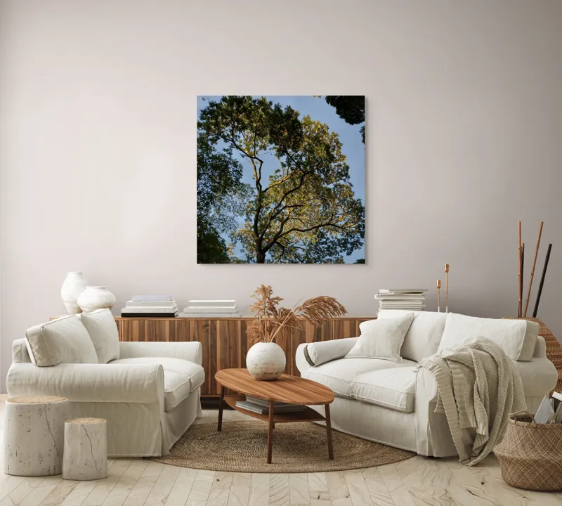 Tablou Canvas, "Copacul în lumina amurgului liniștit", Copac, Cer, Frunziș, Apus, Lumină, Ramuri, Natură, Atmosferă, Verdeață, Tranquilitate, 100 x 100 cm – poza 3