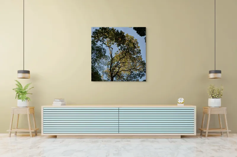 Tablou Canvas, "Copacul în lumina amurgului liniștit", Copac, Cer, Frunziș, Apus, Lumină, Ramuri, Natură, Atmosferă, Verdeață, Tranquilitate, 100 x 100 cm – poza 5