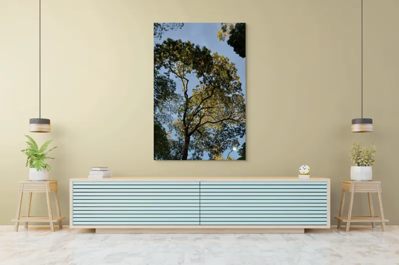 Tablou Canvas, "Copacul în lumina amurgului liniștit", Copac, Cer, Frunziș, Apus, Lumină, Ramuri, Natură, Atmosferă, Verdeață, Tranquilitate, 100 x 150 cm – poza 4