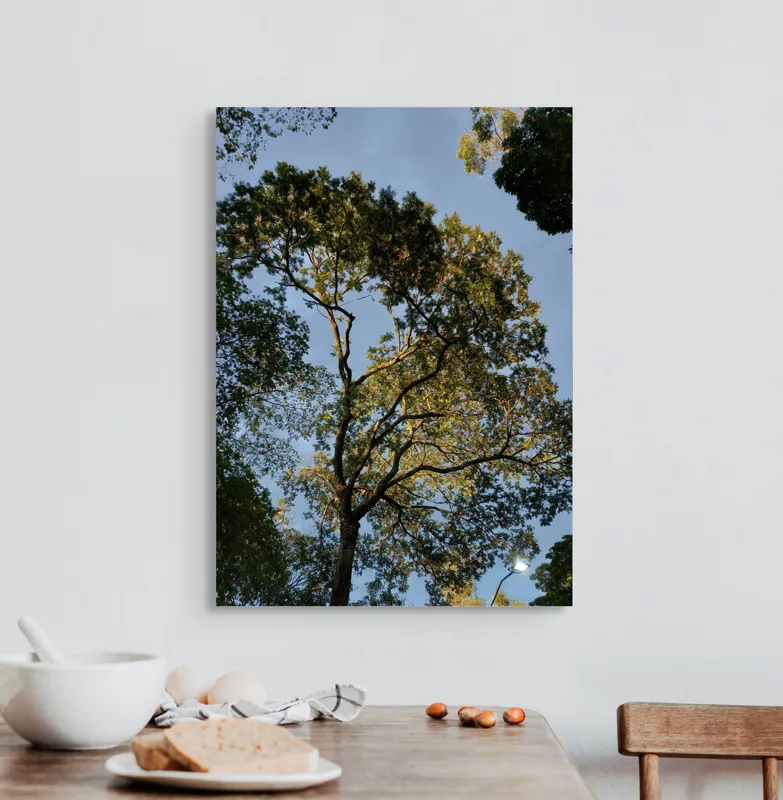 Tablou Canvas, "Copacul în lumina amurgului liniștit", Copac, Cer, Frunziș, Apus, Lumină, Ramuri, Natură, Atmosferă, Verdeață, Tranquilitate, 50 x 70 cm – poza 3