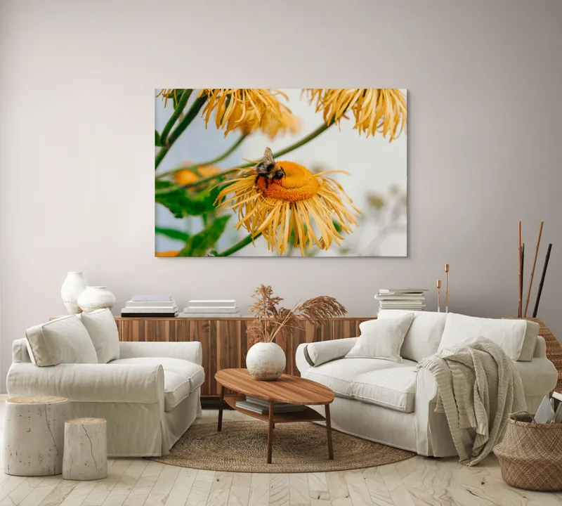 Tablou Canvas, "Albina și floarea galbenă luminoasă", Floare, Albina, Galben, Verde, Frunziș, Natură, Polenizare, Petale, Delicatețe, 150 x 100 cm – poza 3
