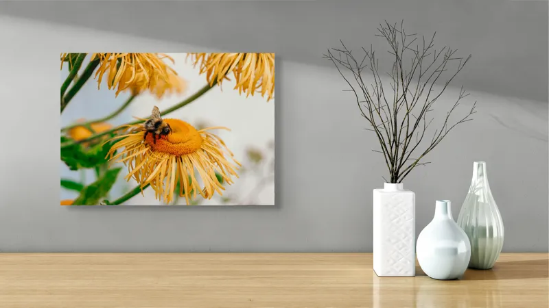 Tablou Canvas, "Albina și floarea galbenă luminoasă", Floare, Albina, Galben, Verde, Frunziș, Natură, Polenizare, Petale, Delicatețe, 54 x 39 cm – poza 3