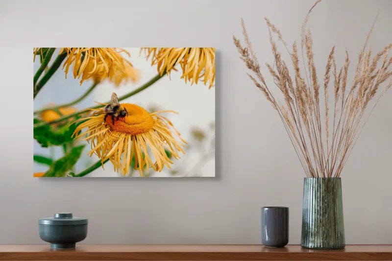 Tablou Canvas, "Albina și floarea galbenă luminoasă", Floare, Albina, Galben, Verde, Frunziș, Natură, Polenizare, Petale, Delicatețe, 54 x 39 cm – poza 4