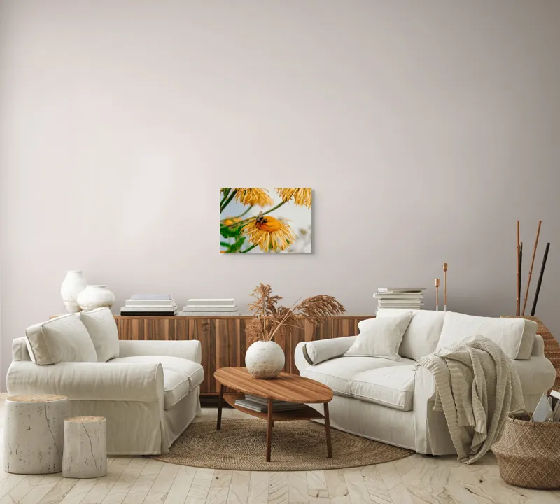 Tablou Canvas, "Albina și floarea galbenă luminoasă", Floare, Albina, Galben, Verde, Frunziș, Natură, Polenizare, Petale, Delicatețe, 54 x 39 cm – poza 5