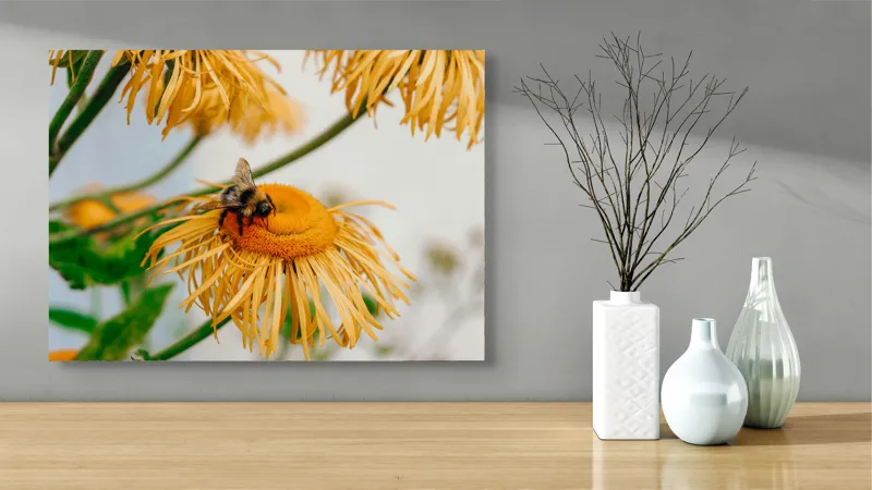 Tablou Canvas, "Albina și floarea galbenă luminoasă", Floare, Albina, Galben, Verde, Frunziș, Natură, Polenizare, Petale, Delicatețe, 70 x 50 cm – poza 3