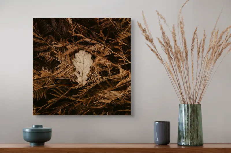 Tablou Canvas, "Frunza de stejar în covorul toamnei", Frunze, Toamnă, Contrast, Natură, Textură, Cădere, Întuneric, Simplitate, 50 x 50 cm – poza 4
