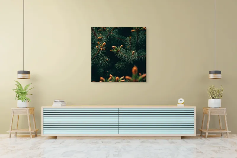 Tablou Canvas, "Primăvara în renaştere printre brazi", Brad, Verde, Frunze, Ramuri, Natură, Muguri, Textură, Aproape, 100 x 100 cm – poza 5