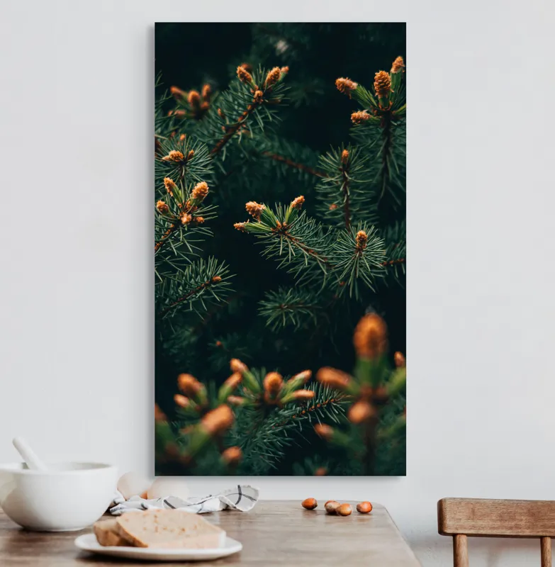 Tablou Canvas, "Primăvara în renaştere printre brazi", Brad, Verde, Frunze, Ramuri, Natură, Muguri, Textură, Aproape, 50 x 90 cm – poza 3