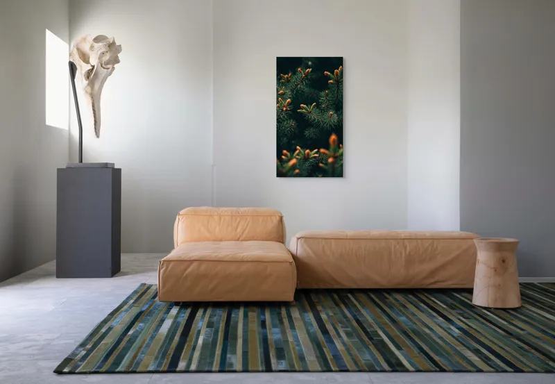 Tablou Canvas, "Primăvara în renaştere printre brazi", Brad, Verde, Frunze, Ramuri, Natură, Muguri, Textură, Aproape, 50 x 90 cm – poza 5