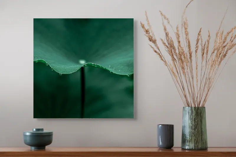Tablou Canvas, "Ritm de picături pe frunză verde", Verde, Frunze, Picături, Rouă, Natură, Serenitate., 50 x 50 cm – poza 4
