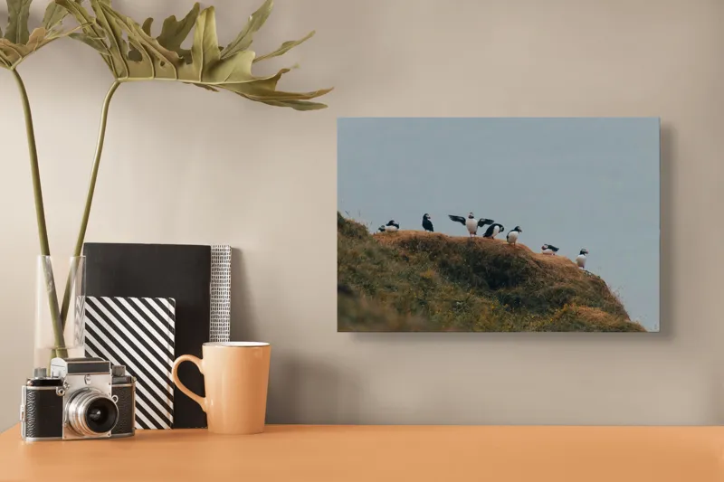 Tablou Canvas, "Puffini pe stâncile înverzite ale coastei", Păsări, Ciuplu, Stâncă, Cer, Iarbă, Peisaj, Natură, Zbor, Libertate, Linie, Echilibru, 39 x 26 cm – poza 3