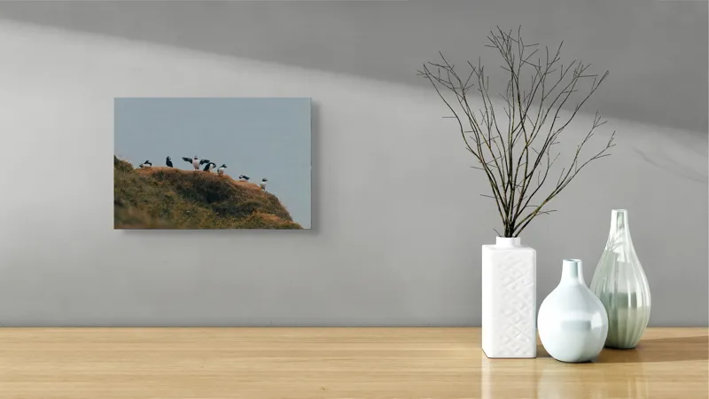 Tablou Canvas, "Puffini pe stâncile înverzite ale coastei", Păsări, Ciuplu, Stâncă, Cer, Iarbă, Peisaj, Natură, Zbor, Libertate, Linie, Echilibru, 39 x 26 cm – poza 8