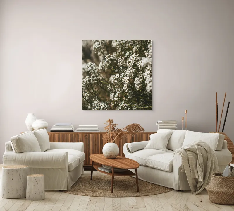 Tablou Canvas, "Miresme de flori albe în soare", Flori, Albe, Bogate, Delicate, Frumusețe, Natură, Textură, Abundență, Verdeață, Concentrare, 100 x 100 cm – poza 3