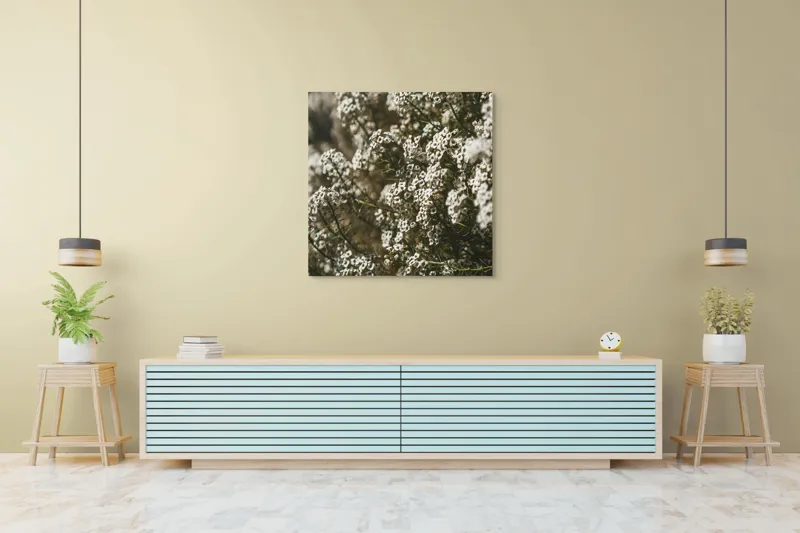 Tablou Canvas, "Miresme de flori albe în soare", Flori, Albe, Bogate, Delicate, Frumusețe, Natură, Textură, Abundență, Verdeață, Concentrare, 100 x 100 cm – poza 5